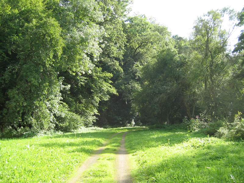 naechstes